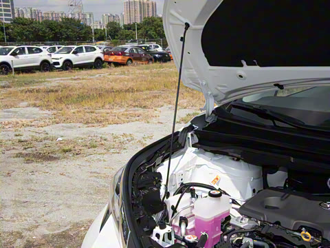 2026�� 2.5L ˫���������ʰ�