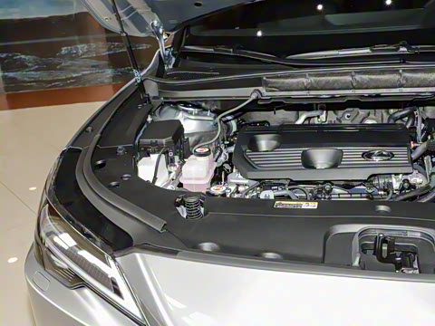 2025�� 350h ����������