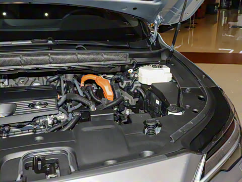 2025�� 350h ����������