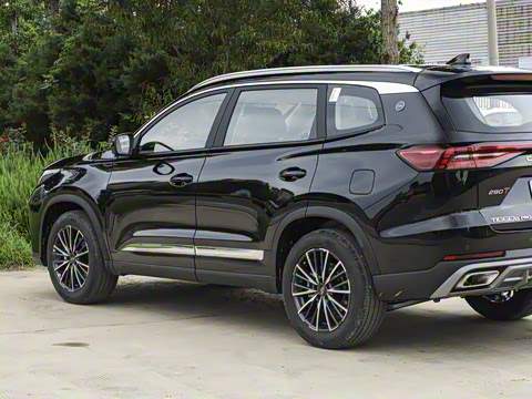 2025�� 290T ��������+