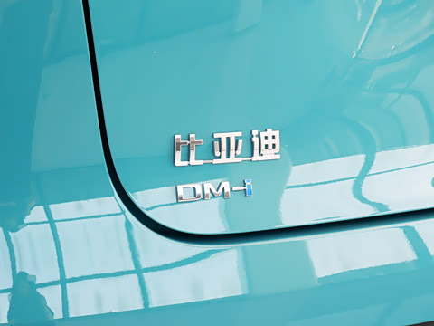2026�� DM-i 220�Ǻ���