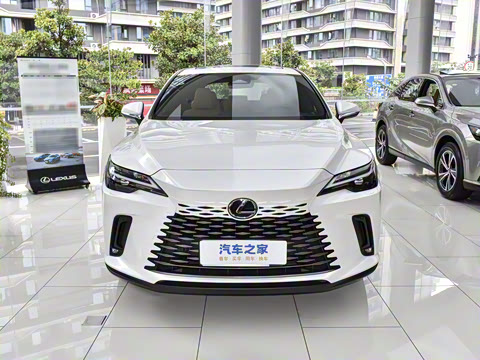 2026�� 300 ����������