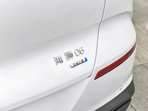 2025�� DM-i 121�캽��