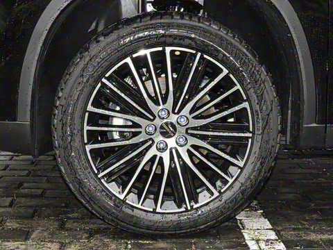 2025�� 300T ������ҹ��