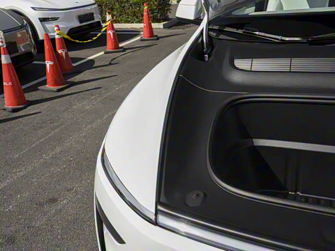 2026�� ����������������