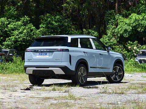 2024�� MAX��