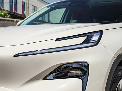 2026�� 1600 ������� 