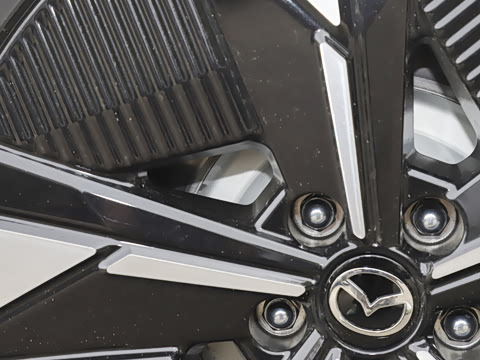 2025�� ����600 Pro