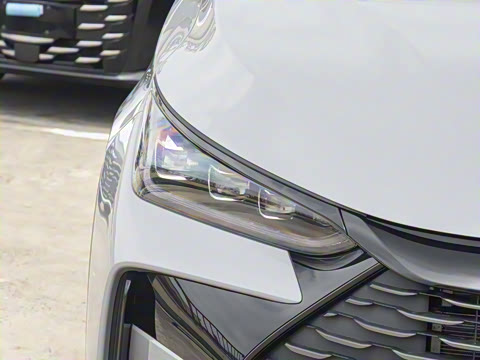 2025�� �Ǽݰ� DM-i 175KM �����