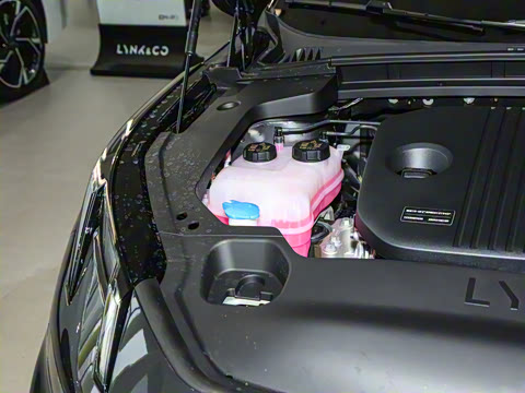 2026�� 126������ Max