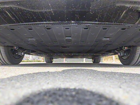 2025�� 650������