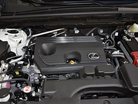 2026�� 200 ��ɫ�޶���