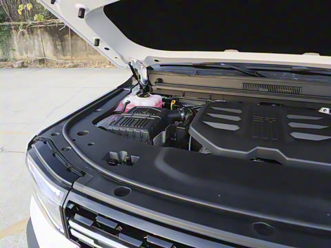 2025�� �Ǿ�Ǭ���� 5��