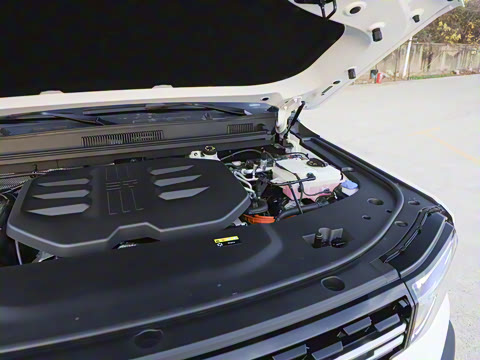 2025�� �Ǿ�Ǭ���� 5��