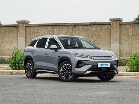 2026�� DM-i 310KM ׿Խ��