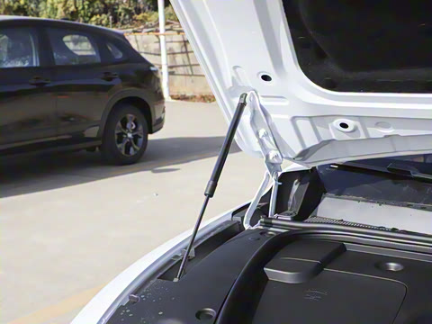 2026 007+  650 Ultra+״