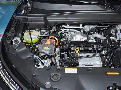 2025�� 185KM�����