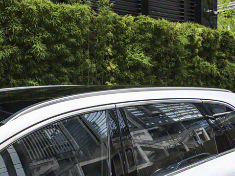 2025�� ���� Max ������