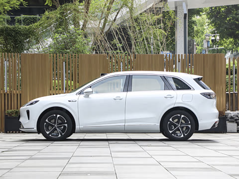 2025�� ���� Max ������