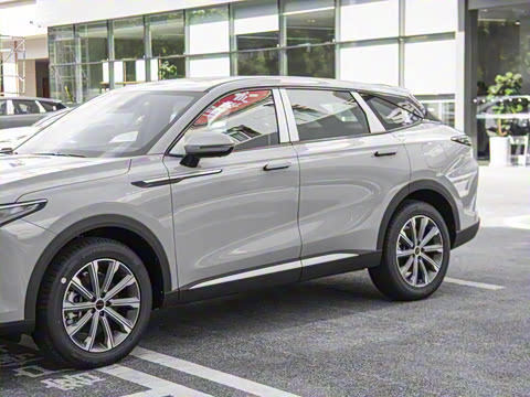 2025�� 100������Plus����