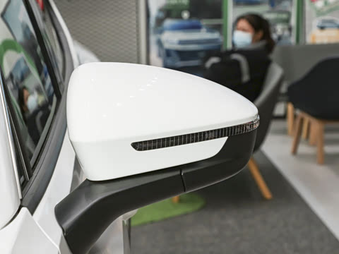 2026�� ̽��L 300TSI ������Ӣ