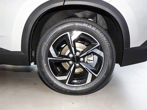 2025�� 430������