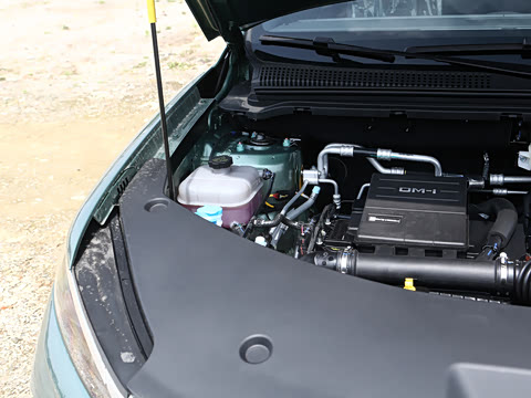 2026�� DM-i 220KM��Խ��