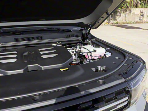 2025�� ������ 5��