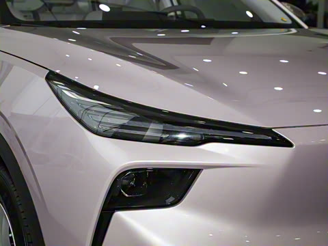 2025�� 565km ������