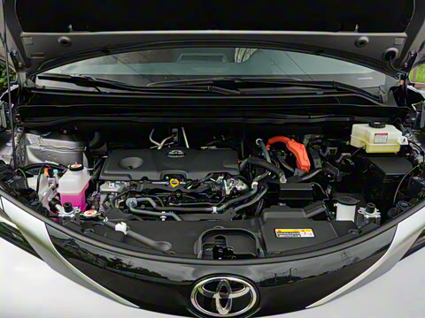 2026�� 2.5L ˫������������