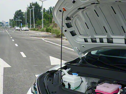 2026�� 530km ������