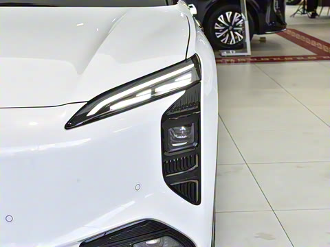 2025�� 565�����ȷ��