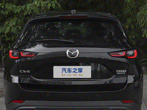 2025�� 2.0L �Զ���������Pro