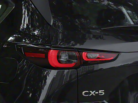 2025�� 2.0L �Զ���������Pro