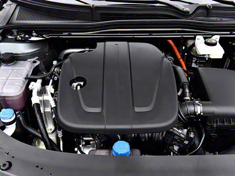 2026�� �����������̰� 310�콢��