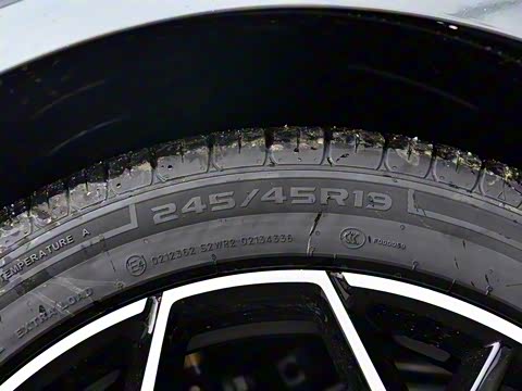 2026�� �����������̰� 310�콢��