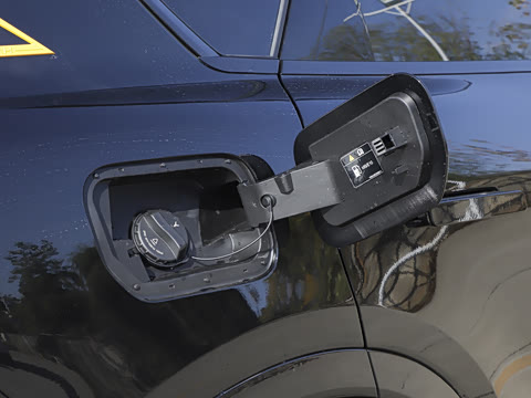 2025�� FREE+ �����˶����ư�