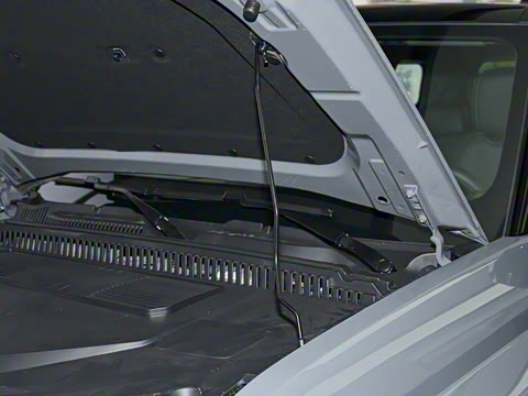 2025�� 520���������