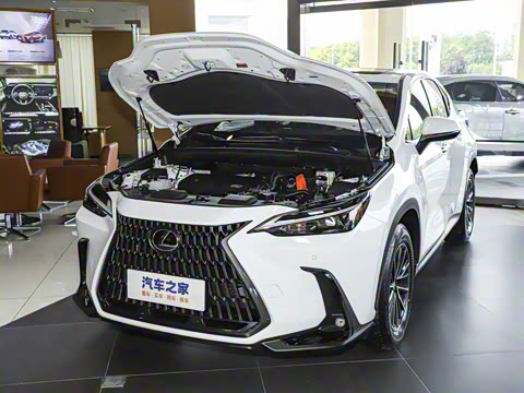 2025�� 350h JOY X