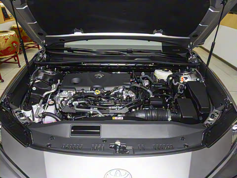 2026�� ˫�� 2.5HXS �˶�Plus��