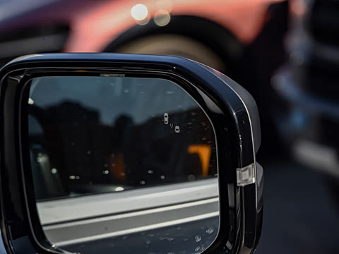 2025�� 2.0T 4WD Pro