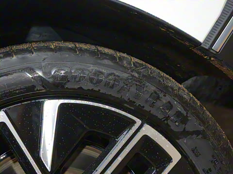 2026�� ������������Plus