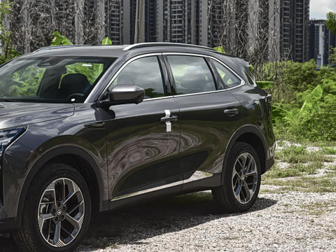 2026�� ���Ĵ� 1.5T �������� ������