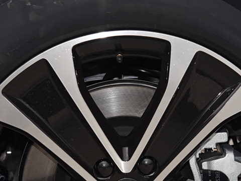 2026�� ���� Max�������� 5��