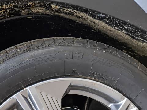 2025�� ���Ĵ� 1.5TD DCT �﷫