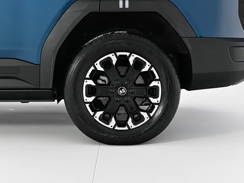 2025�� ��Ұ�� 5��