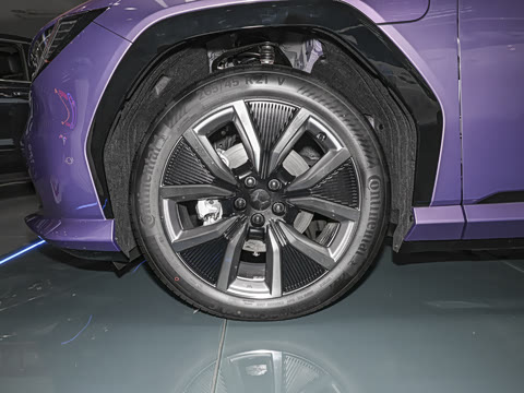 2025�� ����������Pro