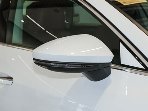 2025�� 45 TFSI quattro ������