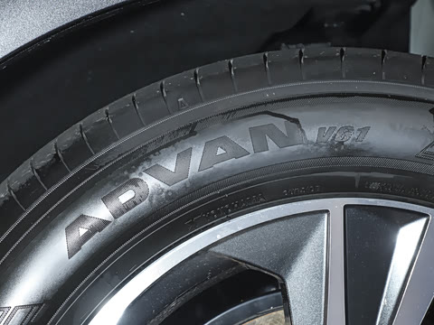 2025�� 300 ����������