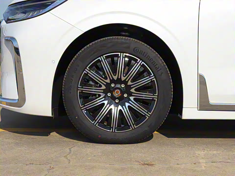 2025�� EV �������������